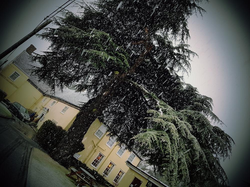 The Cedars Hotel Stowmarket Exterior photo